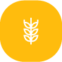 GLUTEN (posibil) 